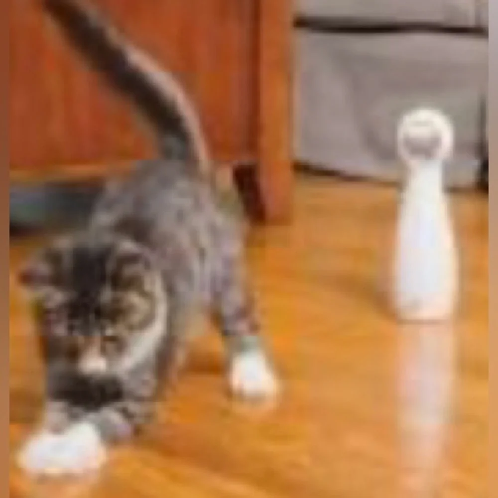 Premier Pet BOLT Automatic Laser Cat Toy - Active Play and Exercise